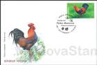 Cockrel (Rooster) (Gallus gallus domesticus)