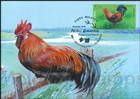 № 1059 MC1 - Domestic Poultry 2018