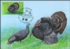 № 1060 MC1 - Domestic Poultry 2018