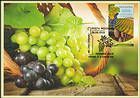 № 1061 MC1 - Grapes