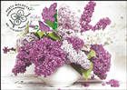 № 1089 MC2 - Lilac (Syringa vulgaris)