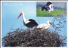 № 1096 MC2 - EUROPA 2019: National Birds 2019