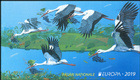 № 1096-1097 MH - EUROPA 2019: National Birds 2019