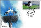 Pair of White Storks, Nesting