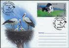 Pair of White Storks, Nesting