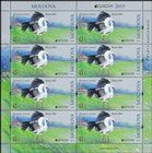 № 1096 Kb - EUROPA 2019: National Birds 2019