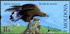№ 1097 (11.00 Lei) Golden Eagle (Aquila chrysaetos)