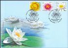 European White Water Lily (Nymphaea alba)