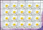 № 1100 Kb - Flora - Water Lilies 2019