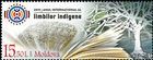 Allegory of Indigenous Languages