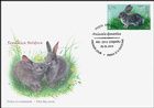 Rabbits