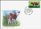 Calf