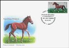 Foal