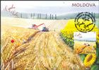 № 1109 MC1 - Wheat Harvest