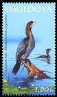 № 1172 (1.20 Lei) Pygmy cormorant (Phalacrocorax pygmeus)