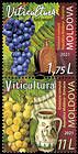 № 1178-1179 ZdV1 - Viticulture - Joint Issue Between the Republic of Moldova and Romania 2021