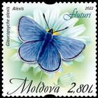 Green-underside Blue (Glaucopsyche alexis)