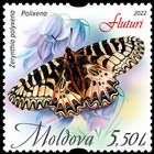 Southern Festoon (Zerynthia polyxena)