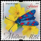 Six-spot Burnet (Zygaena filipendulae)