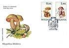Lurid Bolete