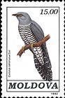 № 19 (15.00 Rubles) Common Cuckoo