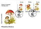 Various Mushrooms