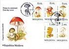 Various Mushrooms