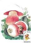 № 191 MC - Mushrooms (II) 1996