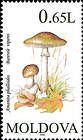 Death Cap