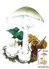 № 192 MC - Mushrooms (II) 1996