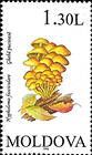 Sulphur Tuft