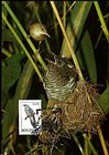 № 19 MC1 - Birds (I) 1992