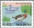 Mallard