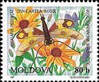 Owlfly