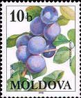 Сливы
