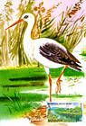 № 305 MC - EUROPA 1999 - Nature Reserves and Parks 1999