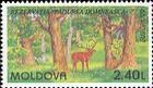 The Royal Forest Nature Reserve