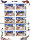 № 338 Kb - From The Red Book of the Republic of Moldova: Fauna 1999