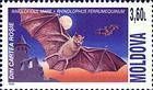 Greater Horseshoe Bat