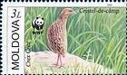 Corkcrake