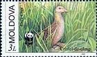 Corkcrake