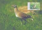 № 381 MC - Protected Fauna - Corncrake. World Wide Fund for Nature (WWF) 2001