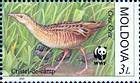 Corkcrake
