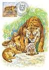 Bengal Tiger