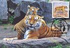 Tigers