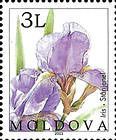 № 433 (1.50 Lei) Iris