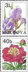№ 433+431Zd - Chişinău Botanical Gardens 2002