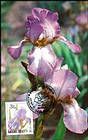 № 433 MC4 - Chişinău Botanical Gardens 2002