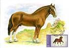 № 443 MC - Horse Breeds 2002