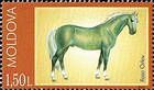 Orlov Trotter